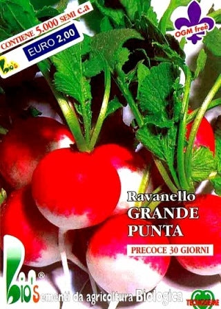 RAVANELLO GRANDE PUNTA - BIOSEME 3702