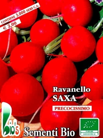 RAVANELLO SAXA - BIOSEME 3736