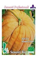 ZUCCA ATLANTIC GIANT - BIOSEME 4451