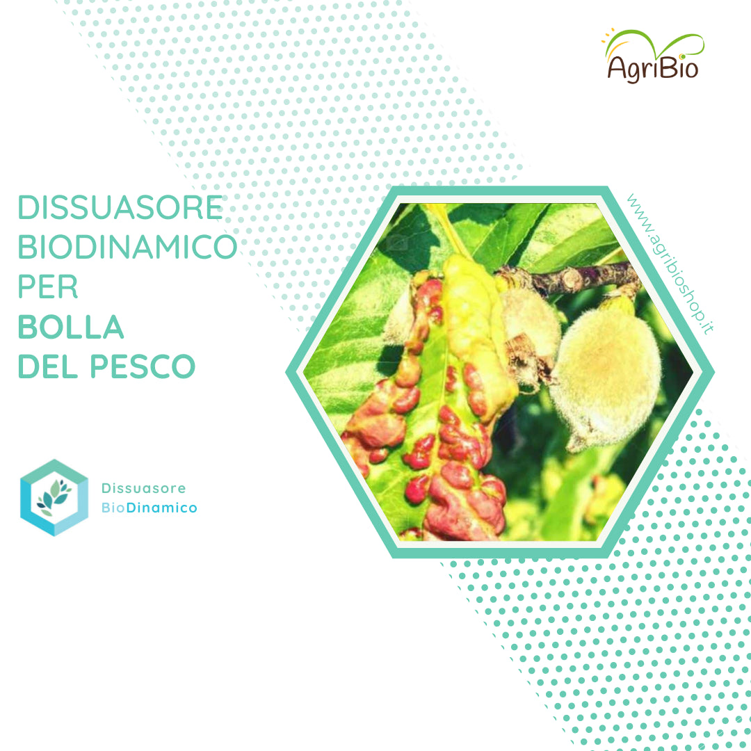 Dissuasore BioDinamico per Bolla del Pesco - 1 lt