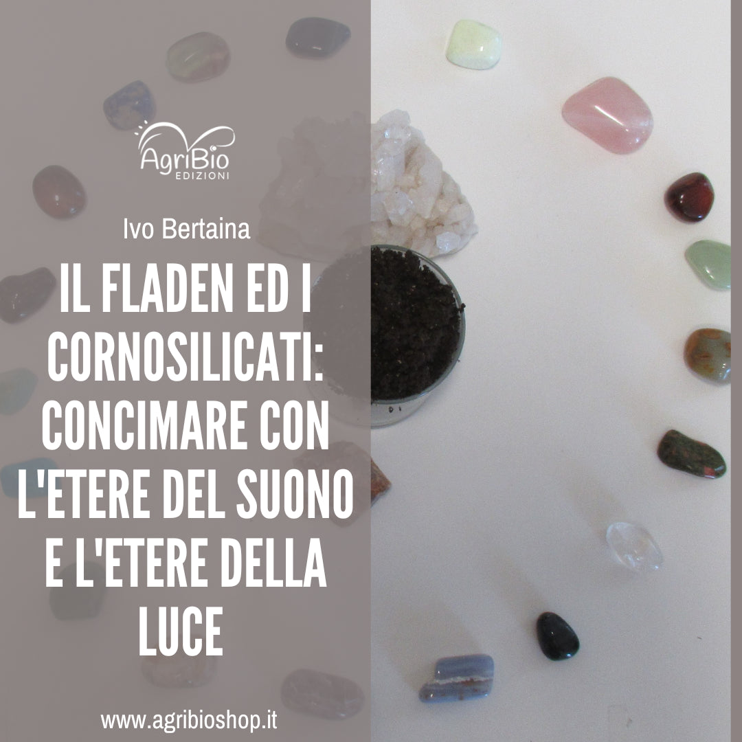 IL FLADEN ED I CORNOSILICATI: CONCIMARE CON L'ETERE DEL SUONO E L'ETERE DELLA LUCE - IVO BERTAINA