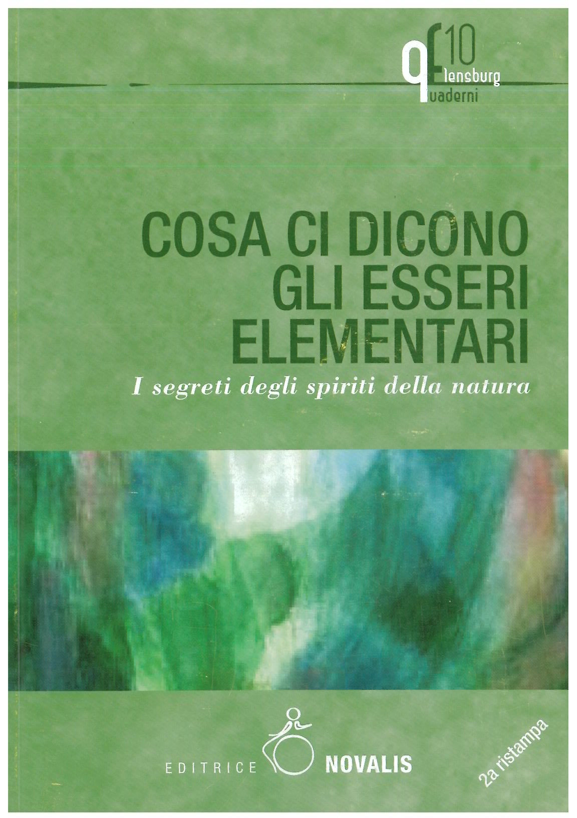 Cosa ci dicono gli esseri elementari - AAVV