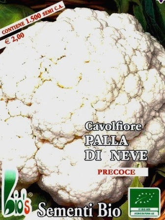 Cavolfiore PALLA DI NEVE / Natalino - FINCO Agricoltura Srl - Foto 12