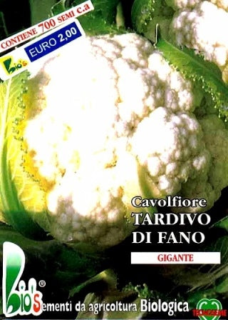 CAVOLFIORE TARDIVO DI FANO - BIOSEME 1103