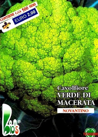 CAVOLFIORE VERDE DI MACERATA - BIOSEME 1105