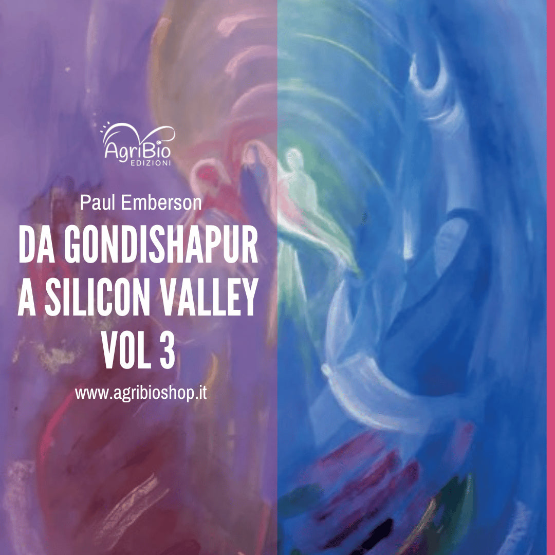 DA GONDISHAPUR A SILICON VALLEY VOL 3 - PAUL EMBERSON