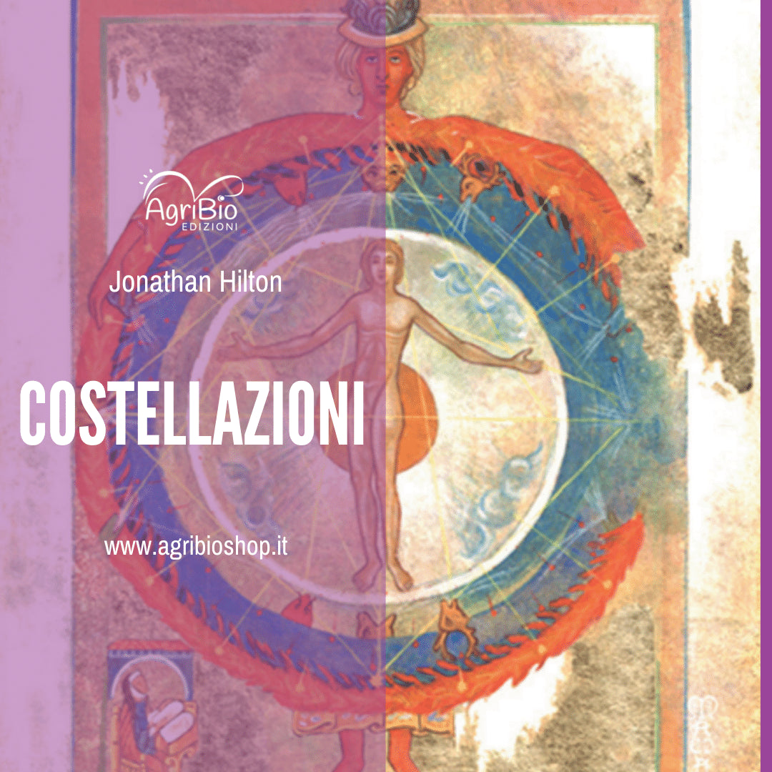 COSTELLAZIONI - JONATHAN HILTON