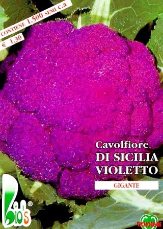 CAVOLFIORE VIOLETTO DI SICILIA - BIOSEME 1107