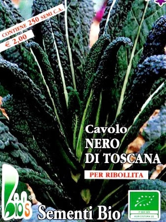 CAVOLO FOGLIA PALMIZIO NERO TOSCANO - BIOSEME 1203