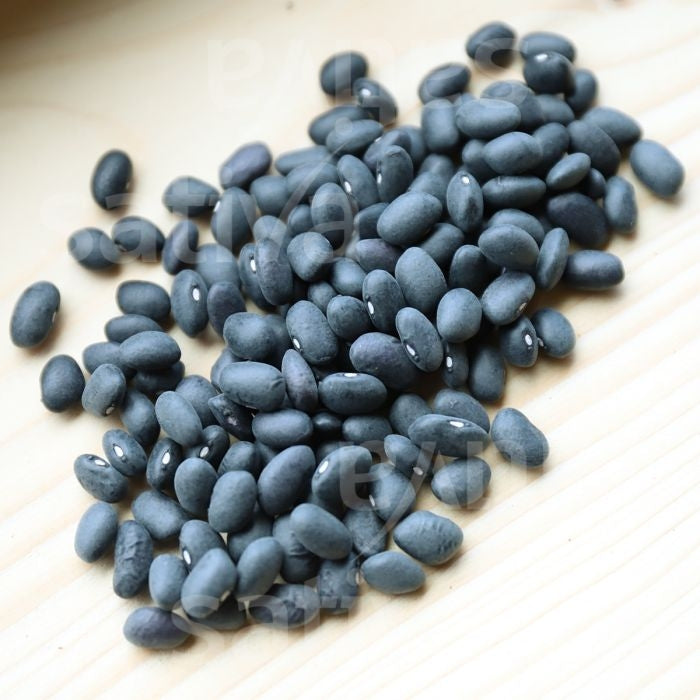 FAGIOLO NANO DA SGRANARE BLACK TURTLE - SATI-BO15