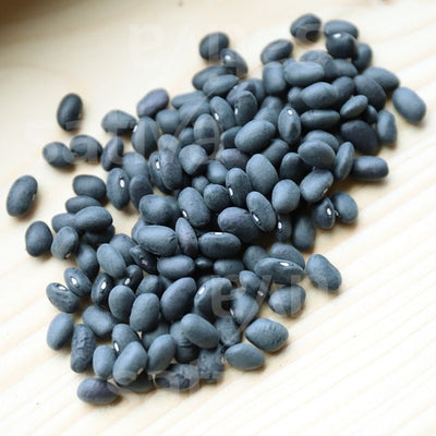 FAGIOLO NANO DA SGRANARE BLACK TURTLE - SATI-BO15