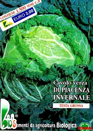 CAVOLO VERZA PIACENZA INVERNALE - BIOSEME 1502
