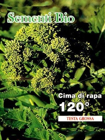 CIMA DI RAPA CENTOVENTINO - BIOSEME 1904