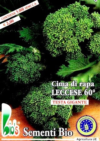 CIMA DI RAPA LECCESE 60° - BIOSEME 1960
