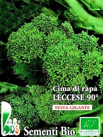 CIMA DI RAPA LECCESE 90° - BIOSEME 1990