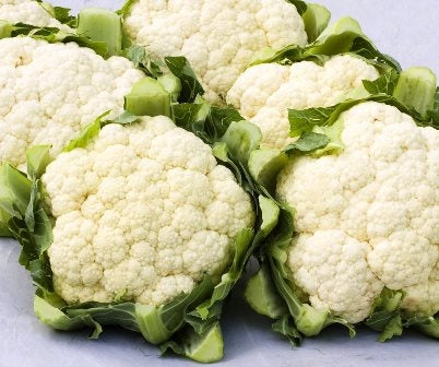 CAVOLFIORE WHITE ROCK - SATIVA ko14