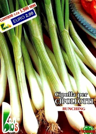 CIPOLLA PER CIPOLLOTTI (BUNCHING) - BIOSEME 2010
