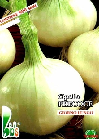 CIPOLLA BIANCA AGOSTANA BLANCO DURO - BIOSEME 2009