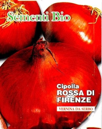 CIPOLLA ROSSA DI FIRENZE - BIOSEME 2005
