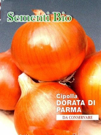 CIPOLLA DORATA DI PARMA - BIOSEME 2018
