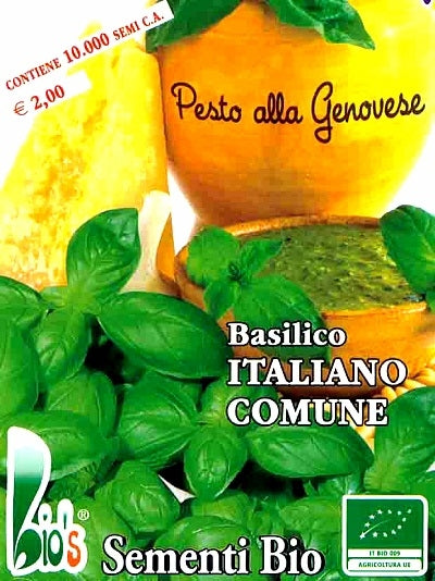BASILICO ITALIANO CLASSICO - BIOSEME 0518