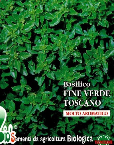 BASILICO TOSCANO FINE - BIOSEME 0520 (AR18)