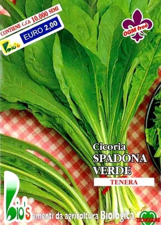 CICORIA SPADONA VERDE DA TAGLIO - BIOSEME 1801
