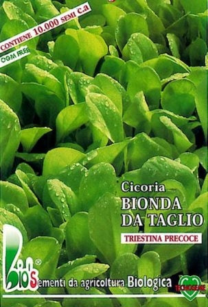 CICORIA BIONDA DA TAGLIO - BIOSEME 1802