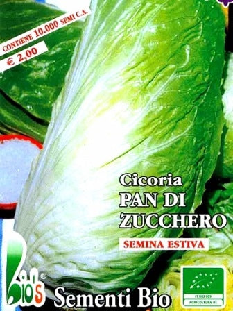 CICORIA PAN DI ZUCCHERO - BIOSEME 1803