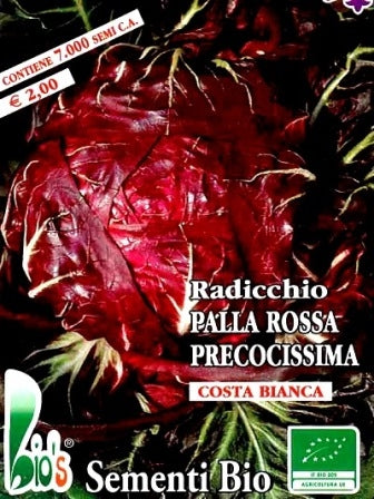 RADICCHIO ROSSO DI VERONA - BIOSEME 1822