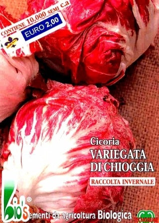 CICORIA VARIEGATA DI CHIOGGIA- BIOSEME 1830