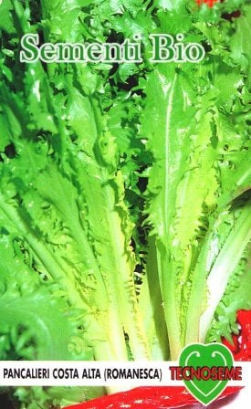ENDIVIA RICCIA ROMANESCA - BIOSEME 2104