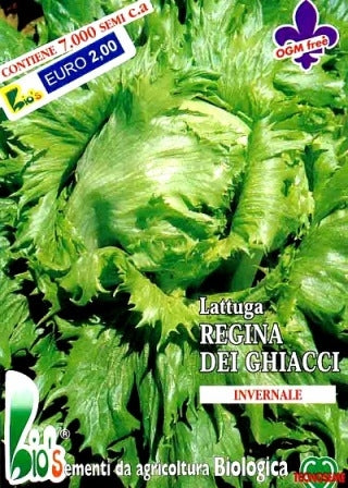 LATTUGA REGINA DEI GHIACCI- BIOSEME 2740