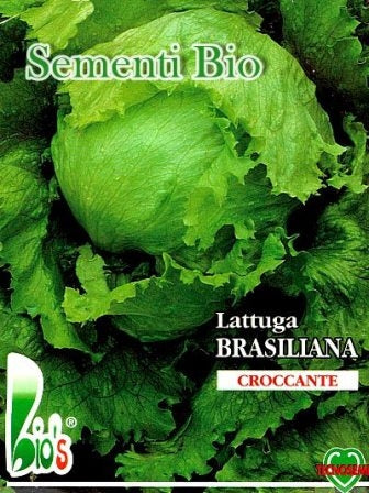 LATTUGA BRASILIANA- BIOSEME 2741