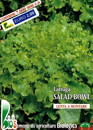 LATTUGA VERDE SALAD BOWL- BIOSEME 2752