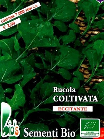 RUCOLA COLTIVATA - BIOSEME 3852