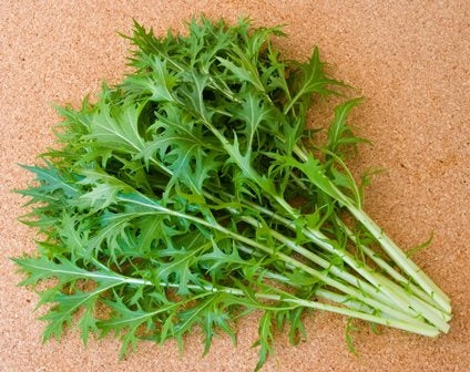 INSALATA ASIATICA MIZUNA - SATIVA as30