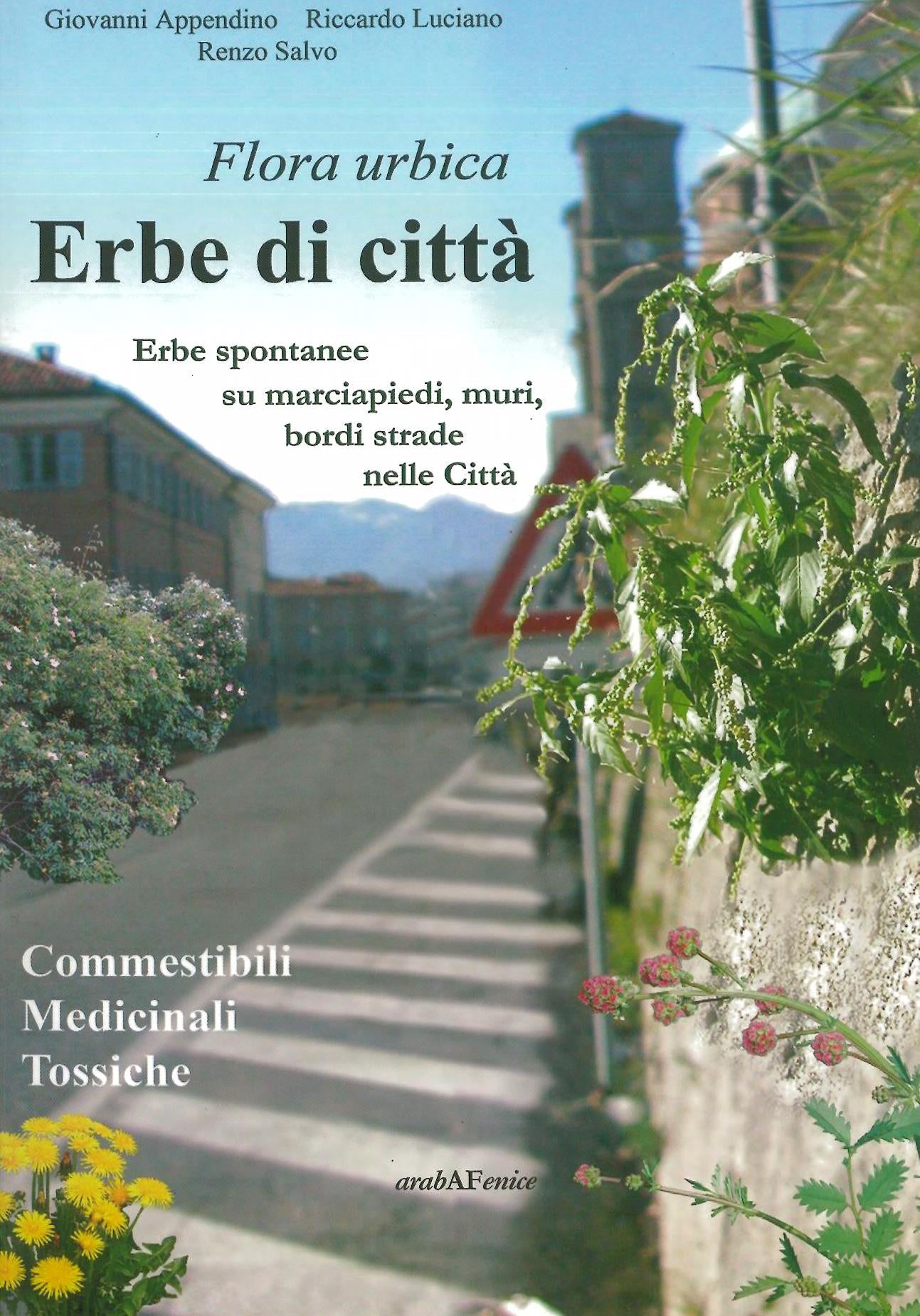 Erbe di città - AAVV