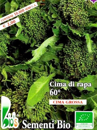 CIMA DI RAPA SESSANTINO - BIOSEME 1905