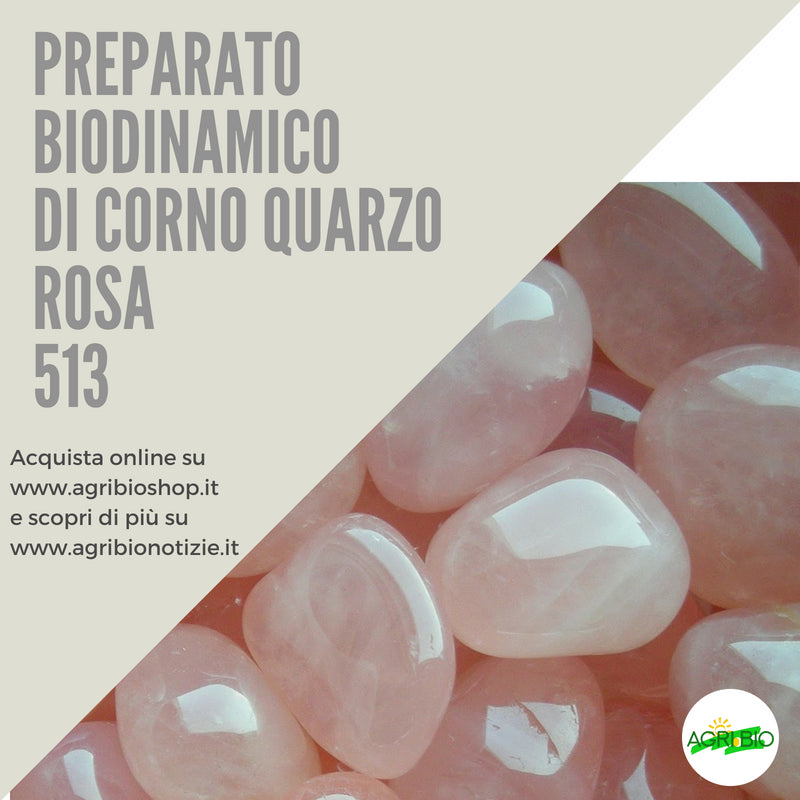 CORNO QUARZO ROSA: 513