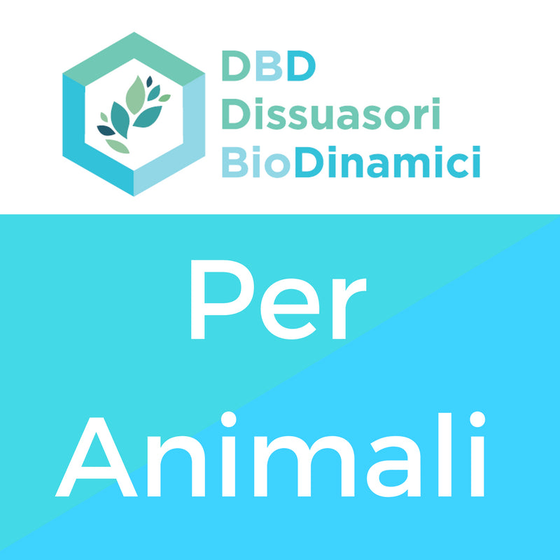 ANIMALI