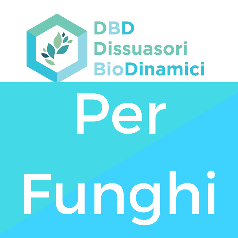 FUNGHI