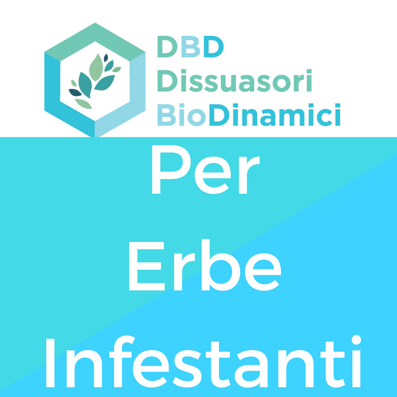 ERBE INFESTANTI