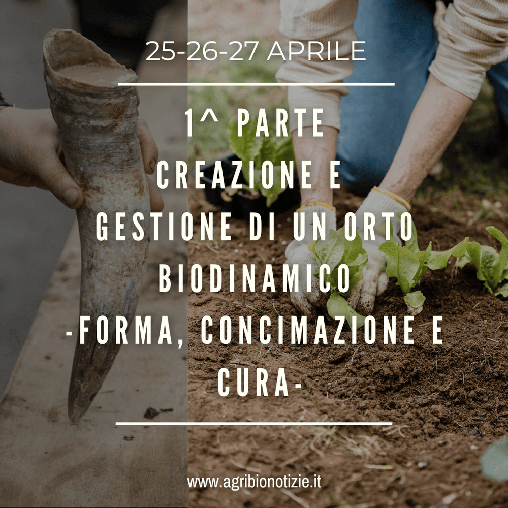 1^Parte – Creazione e gestione di un orto Biodinamico – forma, concimazione e cura