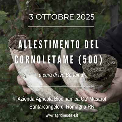 3 ottobre 2025 | Allestimento del Cornoletame (500) | RImini