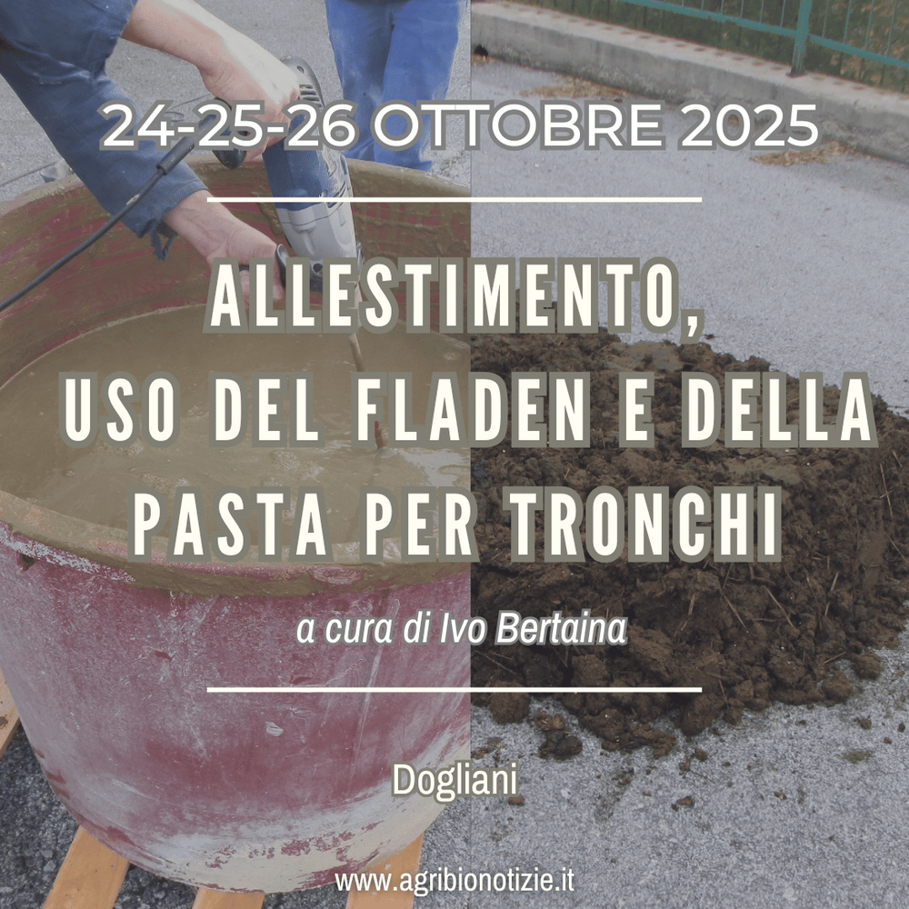 24,25,26 Ottobre 2025 | Allestimento, uso del fladen e della pasta per tronchi | Dogliani