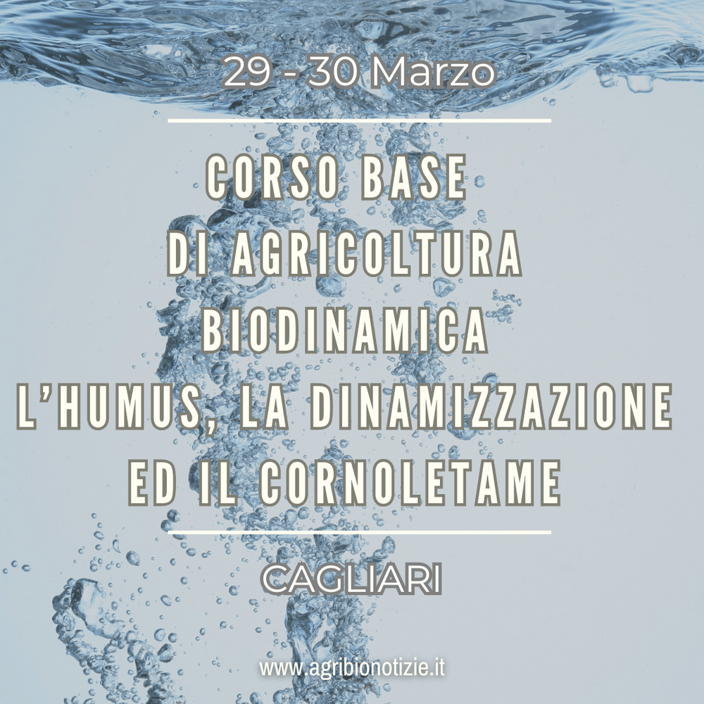 Corso base di agricoltura biodinamica: l’humus, la dinamizzazione ed il cornoletame | Cagliari