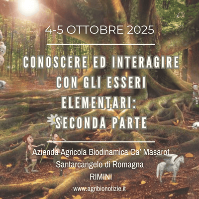 4,5 Ottobre 2025 | Conoscere ed interagire con gli esseri elementari: seconda parte | Rimini