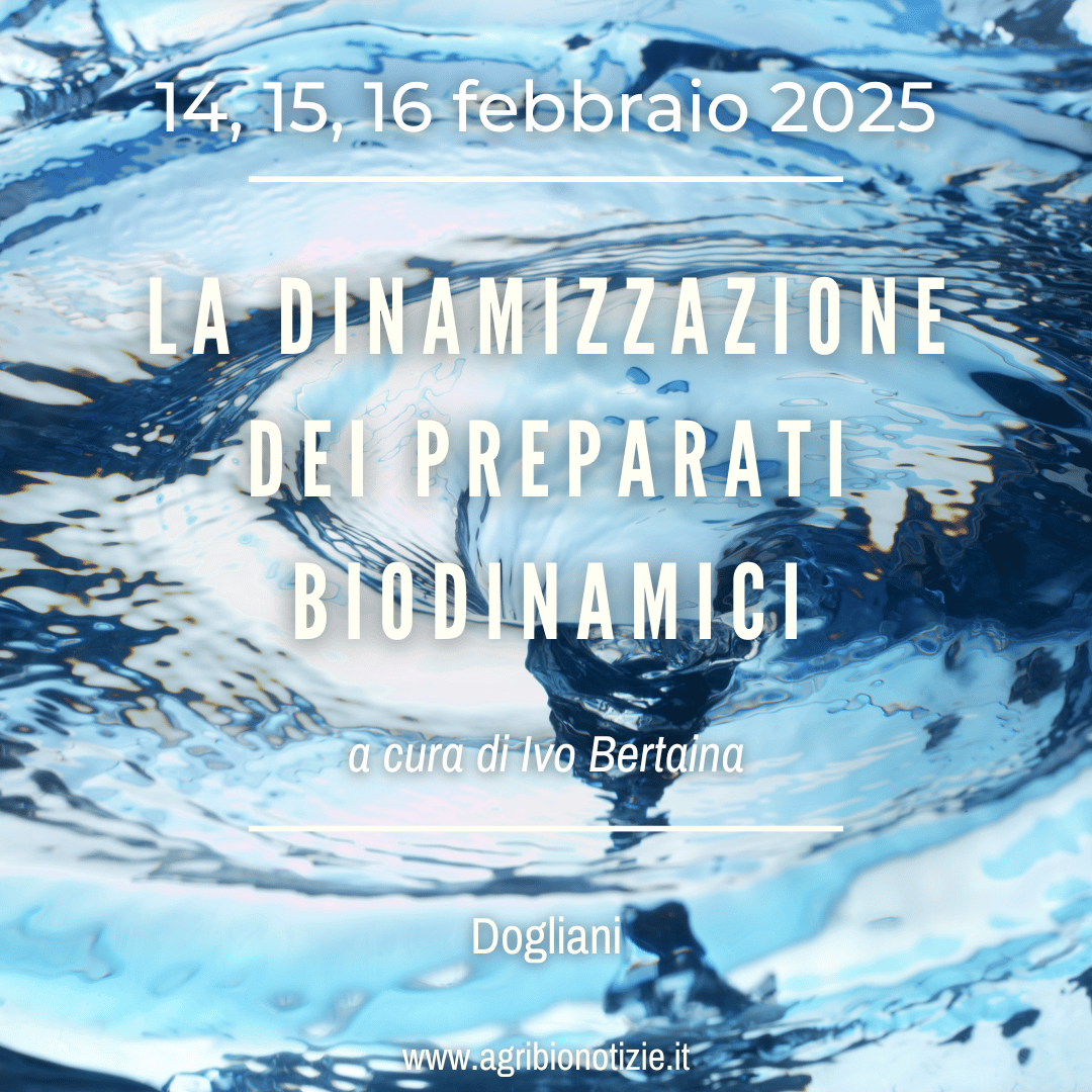 La dinamizzazione dei preparati Biodinamici