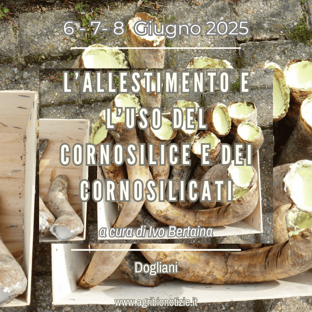 6, 7, 8 Giugno 2025 | L’allestimento e l’uso del Cornosilice e dei Cornosilicati | Dogliani